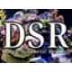 DSR
