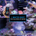 ARKA BACTO-SHOT (50 ml) высокоактивные вакцинные культуры