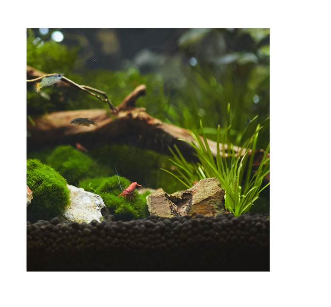 Aquavitro aquasolum™ black humate 2 kg соил для аквариумов с растениями и креветками