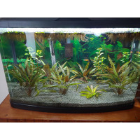 CaribSea Samurai Soil 1,58kg грунт для аквариумов с креветками и растениями