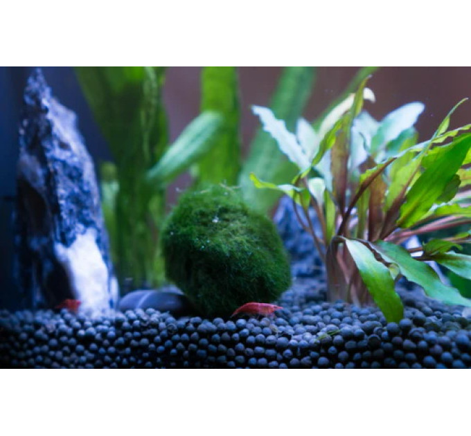 CaribSea Samurai Soil 1,58kg грунт для акваріумів з креветками та рослинами