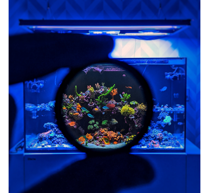D-D Coral Colour Lens XL светофильтр для съёмки морских аквариумов