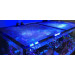 D-D JumpGuard Pro 75x75cm защитная сетка для аквариумов