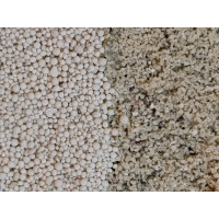 DVH Oolites Real oolitic sand from the Bahamas оолитовый песок (1кг)