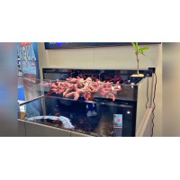Fauna Marin DIY Floating Reef (12мм стекло, без шахты) набор для акваскейпа