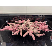 Fauna Marin DIY Floating Reef (12мм стекло, без шахты) набор для акваскейпа