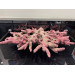 Fauna Marin DIY Floating Reef (12мм стекло, без шахты) набор для акваскейпа