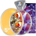 FLIPPER DEEPSEE VIEWER MAX 5" ORANGE FILTER LENS CLEAR светофильтр