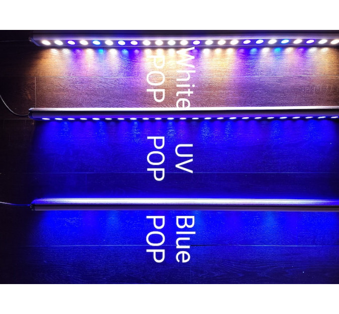 NicoBAR Blue Pop 24"