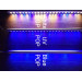 NicoBAR Blue Pop 24"