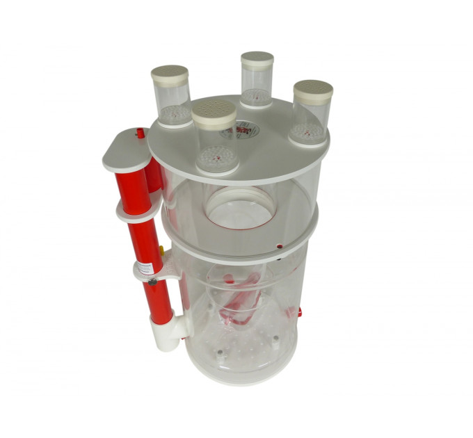Royal Exclusiv Anti Smell (10mm)