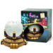 H2shOw KIT BOX MAGIC WORLD