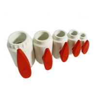 Royal Exclusiv PVC Union Ball Valve 32mm compact