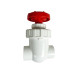 Royal Exclusiv PVC Gate Valve 25mm