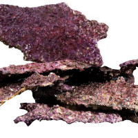 Real Reef Rock Shelf Rock (1kg) биологически активный рифовый камень ручного изготовления