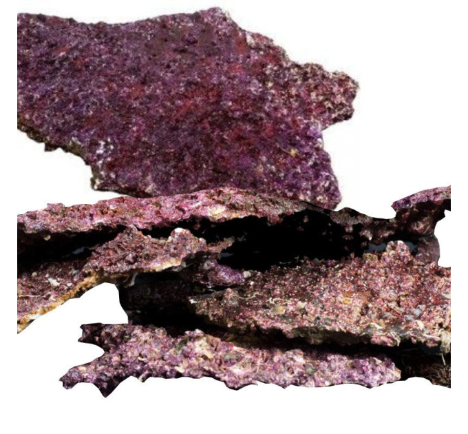 Real Reef Rock Shelf Rock (1kg) биологически активный рифовый камень ручного изготовления