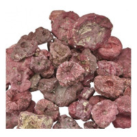 Real Reef Rock Frag Rocks (100g)