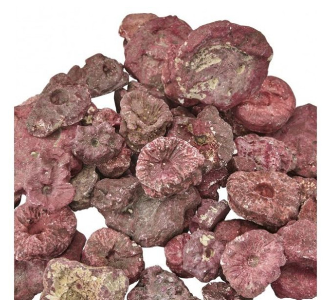 Real Reef Rock Frag Rocks (100g)