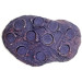 Oceans Wonders Ceramic Coralline Purple Frag HUB 10.0 керамическая подставка с 10 плашками для кораллов