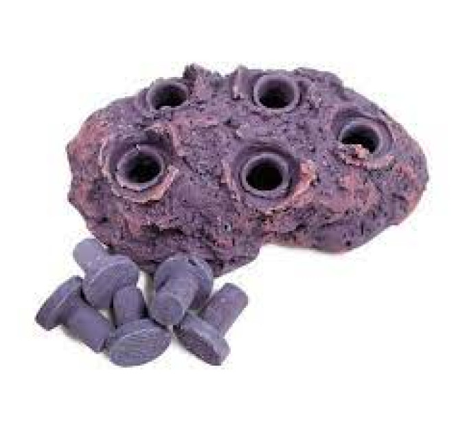 Oceans Wonders Ceramic Coralline Purple Frag HUB 5.0 керамическая подставка с 5 плашками для кораллов